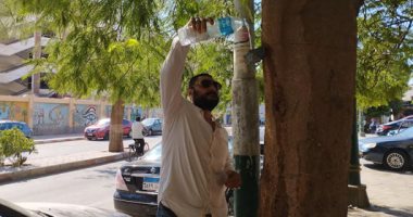فيه الخير.. شاب بالمنيا يصنع مساقى للعصافير فوق الأشجار ويملؤها بالمياه