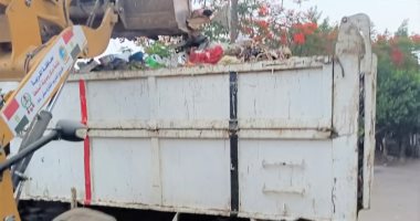 حملة نظافة مكبرة بمركز ومدينة السنطة ومركز المحلة بالغربية