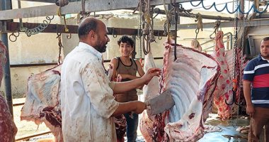 مجازر القاهرة تستقبل أضاحى المواطنين مجانا عقب صلاة العيد