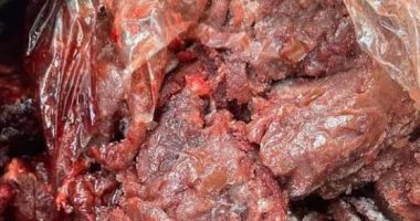 حملات مكثفة للطب البيطرى على المحلات والمطاعم بدمياط 