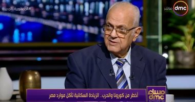 التعبئة والإحصاء: محافظات الصعيد الأكثر إنجابا و25 ألف حالة طلاق بالعام الأول من الزواج