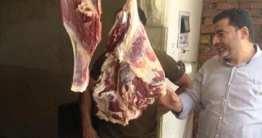 ضبط 10 أطنان سماد زراعى ولحوم مجهولة المصدر خلال حملات رقابية بالشرقية