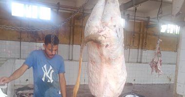 مجازر كفر الشيخ تفتح أبوابها للمواطنين.. اعرف كيفية استقبال الأضاحى وفحصها ..فيديو