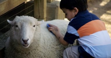 الأطفال وذبح الأضحية.. كل ما تحتاج معرفته لحماية طفلك من أي أثر نفسي سلبي