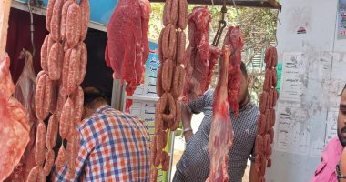112 حملة رقابية لمديرية الطب البيطرى على المحال والأسواق بالإسكندرية