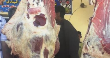 "صحة أسوان" تعدم مواد غذائية غير صالحة خلال مرورها على 219 منشأة