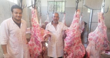 حملات لمديرية الطب البيطرى بالأقصر على مجازر الحبيل وأرمنت وإسنا قبل العيد ..صور