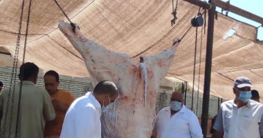 محافظ الدقهلية: حملات لإزالة الإشغالات والمرور على المجازر ومراقبة الأسواق