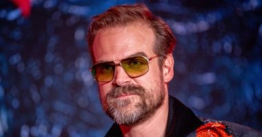 اعرف وصف ديفيد هاربور بطل سلسلة Stranger Things لتمثيله