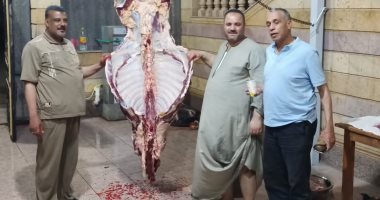 تضامن المنوفية: توزيع لحوم 142 رأس ماشية بالتنسيق مع المجتمع المدنى.. صور
