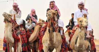 جيل بيسلم جيل.. تقاليد عيد الأضحى عند بدو سيناء.. تزيين الجمال قبل الذبح.. وتوزيع لحوم الأضاحى على ذوى الأرحام والجيران.. والهجانة يحيون حفل العيد.. والسيدات ينشدن الأغانى.. صور