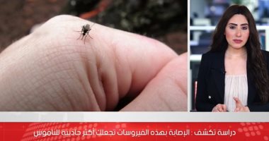 مفاجأة.. الإصابة ببعض الفيروسات تجعلك أكثر جاذبية للناموس (فيديو)