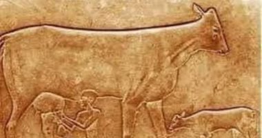 كيف صور المصرى القديم البقرة تبكى؟.. اعرف الإجابة
