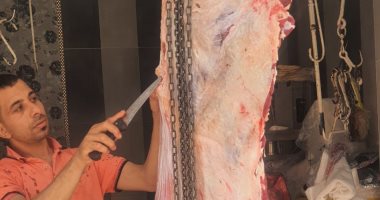 الطب البيطرى يشرف على نقاط الذبح خلال عيد الأضحى المبارك بالإسماعيلية