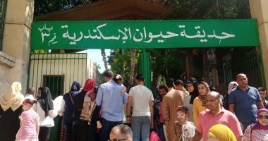 فرحة فى حديقة حيوان الإسكندرية وإقبال كثيف في ثالث أيام عيد الأضحى.. فيديو