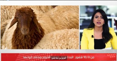 الإجابة عن أهم الأسئلة الخاصة بلحوم الأضحية خلال عيد الأضحى.. فيديو