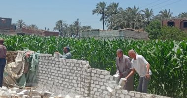 إزالة 52 حالة تعدٍ على الأراضى الزراعية ببنى سويف وبورسعيد.. التفاصيل