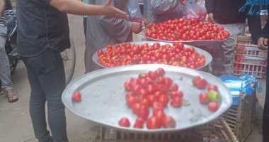حملات مكبرة للقضاء على الإشغالات بالمنوفية