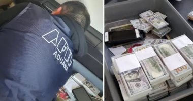 البرازيل تحبط تهريب 500 ألف دولار عثر عليها مخبأة فى مقاعد طائرة.. صور