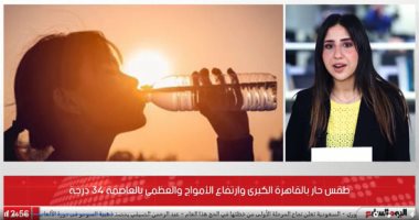 طقس حار بالقاهرة الكبرى وارتفاع الأمواج والعظمى بالعاصمة 34 درجة.. فيديو