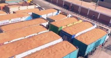 غرفة الحبوب: توفير وزارة التموين القمح للمطاحن استخراج 72% يضبط الأسواق