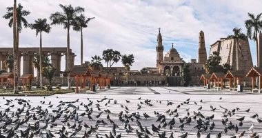 مشهد أوروبى.. تجمعات أسراب الحمام فى ميدان أبو الحجاج الأقصرى يوميا "صور"