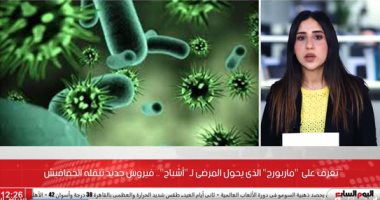 الخفافيش تعود بفيروس جديد أخطر من كورونا.. فيديو