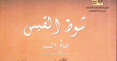 شوط القبس.. كتاب جديد للناقد صالح السيد عن قصور الثقافة