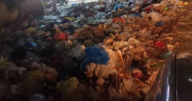 تراكم القمامة فى النخيل بالعجمى بالإسكندرية.. والحى يستجيب لشكاوى المواطنين