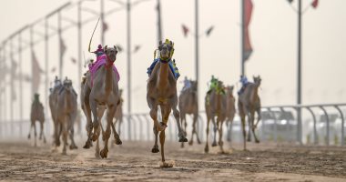 انطلاق مهرجان ولى العهد للهجن 2022 يوم 23 يوليو بميدان الطائف للهجن