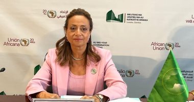المجلس التنفيذى للاتحاد الأفريقى يدعم تولى مصر ملف الطاقة فى القارة