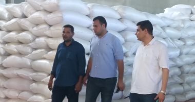 ضبط 100 طن قمح محلي و 5000 علبة سجائر بدون مستندات في كفر الشيخ.. صور