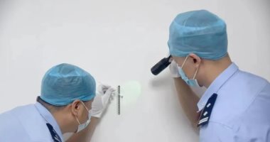 البركة فى الـDNA.. بعوضة تساعد الشرطة فى العثور على سارق