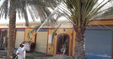 رش أشجار النخيل بمطروح للوقاية من إصابتها بآفة العنكبوت الأحمر.. صور