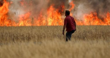الجزائر: اندلاع 10 حرائق في 7 ولايات وتكثيف الجهود لإخمادها