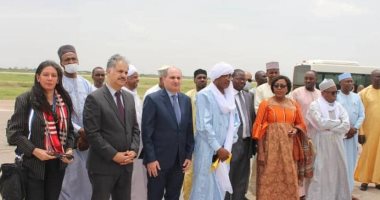 مصر تقدم منحة مساعدات طبية إلى تشاد