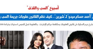 أسبوع السب والقذف من "ميدو" لـ"شيرين".. كيفية تصدى القانون للوقائع.. عن برلمانى