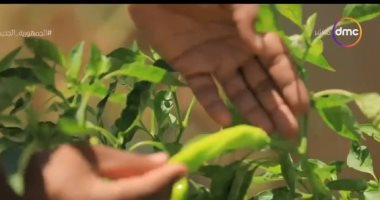 "مصر تستطيع" يعرض تقريرا عن مواطن حقق الاكتفاء الذاتي من زراعة سطح منزله
