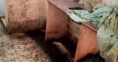 ضبط وإعدام طن أغذية فاسدة فى عزبة البرج بدمياط.. صور