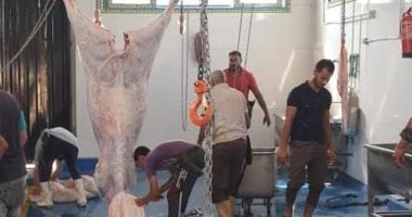 محافظ الغربية يتلقى تقريرا عن الذبائح داخل المجازر