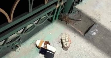 تكثيف البحث للعثور على جثة شاب ألقى بنفسه فى نهر النيل بدمياط
