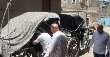 التحفظ على 3 عربات كارو وتحرير 8 محاضر نظافة وبيئة فى مدينة الأقصر.. صور