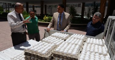 محافظ الدقهلية: طرح طبق البيض بمنافذ وزارة الزراعة بسعر 62 جنيها بدلا من 80