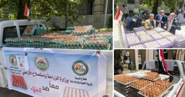 أرخص كرتونة بيض فى السوق تطرحها وزارة الزراعة.. سعرها 62 جنيها "فيديو"