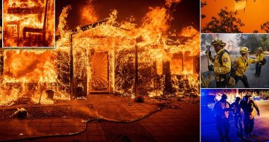 حرائق الغابات فى كاليفورنيا تتضاعف لتلتهم قرابة 12000 فدان.. صور