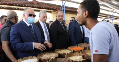 محافظ القاهرة يفتتح سوق طلخا الرسمى بالزاوية الحمراء