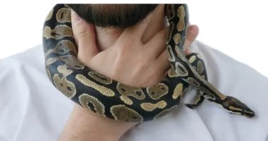 ثعبان ضخم يلتف حول عنق صاحبه وضباط الشرطة ينقذون حياته بأمريكا