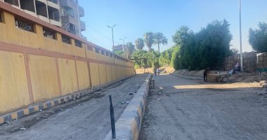 محافظة الجيزة تكلف لجنة لفحص شكوى تراكم المياه بجوار عبارة الحوامدية