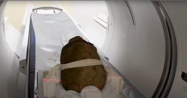 ديلى ميل تبرز اكتشاف هوية رأس مومياء وجدت بالمملكة المتحدة تعود لامرأة مصرية
