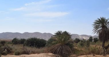 وادى مليحة.. أشهر الأودية المحتوية على بحيرة "أمطار" بالغردقة.. صور